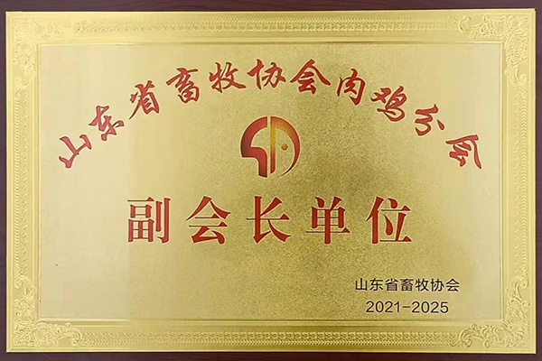 山(shān)东省畜牧协会肉鸡分(fēn)会副会長(cháng)单位（2021）